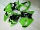 Custom 2000-2002 Green Black Kawasaki ZX6R Bike Fairings