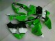 Custom 2000-2002 Green Black Kawasaki ZX6R Motorbike Fairing