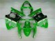 Custom 2000-2002 Green Black Kawasaki ZX6R Motorcycle Bodywork