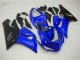 Custom 2005-2006 Blue Kawasaki ZX6R Bike Fairings