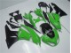 Custom 2009-2012 Green Black Kawasaki ZX6R Replacement Motorcycle Fairings